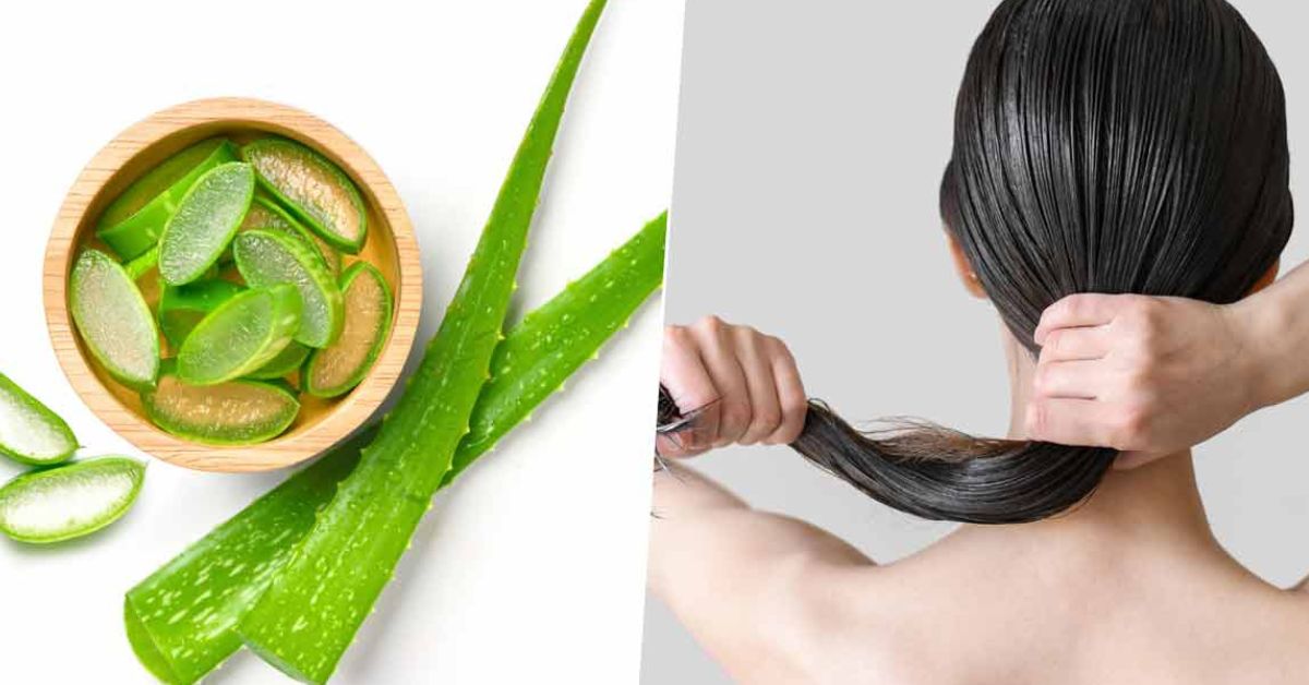 7 Surprising Benefits Of Aloe Vera To Keep Your Hair Healthy Naturally No More Relying On Hair 3495
